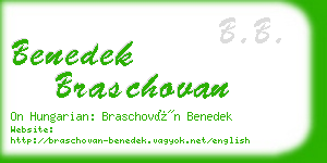 benedek braschovan business card